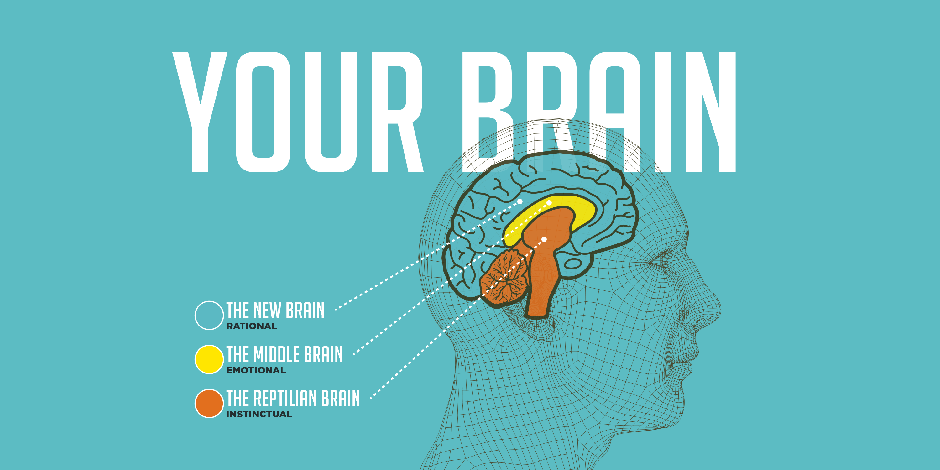 3 Cerebros – SalesBrain